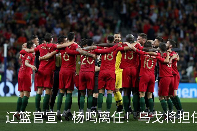 辽篮官宣：杨鸣离任！乌戈将担任辽宁男篮主帅